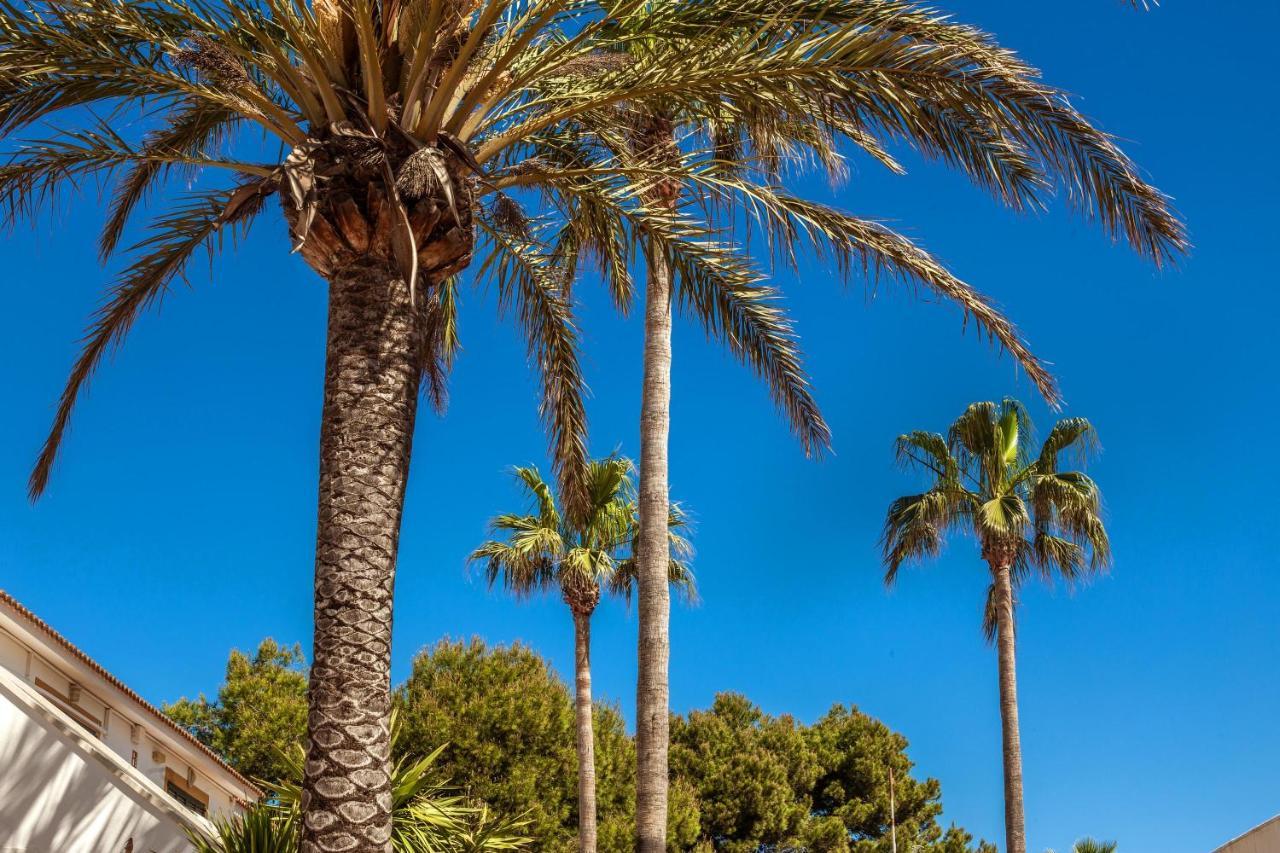Villa Seve Cala en Bosc Eksteriør bilde